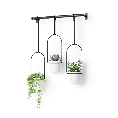 umbra triflora hanging planter black Umbra Triflora Hanging Planter for Window, Indoor Herb Garden, White/Black, Triple