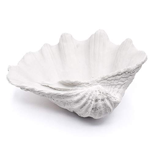 ALIWINER Seashell Bowl Resin Large Clam Shell Decor Nautical Clam Shel –  Fleurings