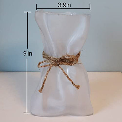 Delicate Glass Gift Bag Flower Vase