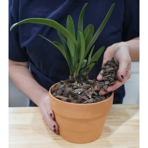 All Purpose Orchid Bark Potting Mix Soil