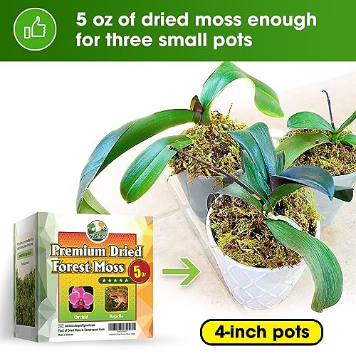 DUSPRO Premium Dried Forest Moss for Potted Plants, Ideal for Orchid Moss Potting