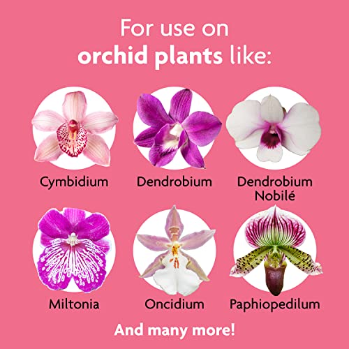 Miracle-Gro Ready-To-Use Orchid Plant Food Mist, 8 oz., Feeds Plants Instantly, 1 Pack