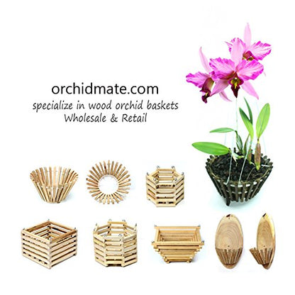 Wooden Orchid Basket - Halfmoon 6 inch
