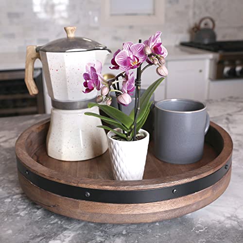 Pink Orchid in White Ceramic Pottery, Live Indoor Plant
