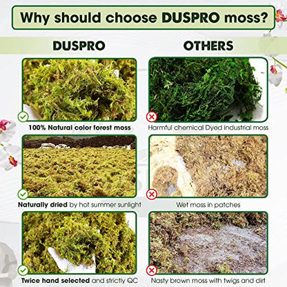 DUSPRO Premium Dried Forest Moss for Potted Plants, Ideal for Orchid Moss Potting