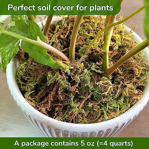 DUSPRO Premium Dried Forest Moss for Potted Plants, Ideal for Orchid Moss Potting