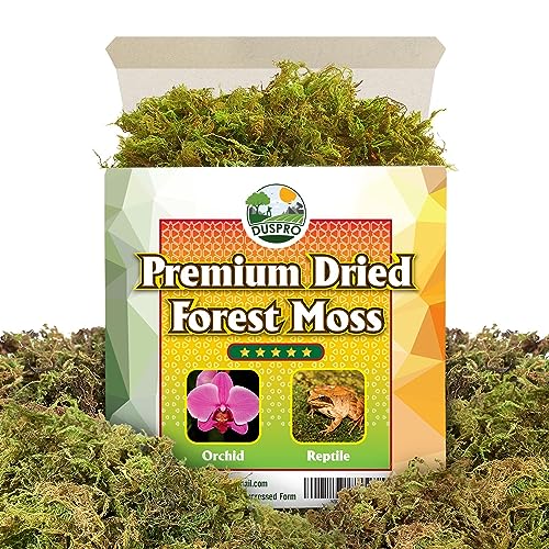 DUSPRO Premium Dried Forest Moss for Potted Plants, Ideal for Orchid Moss Potting