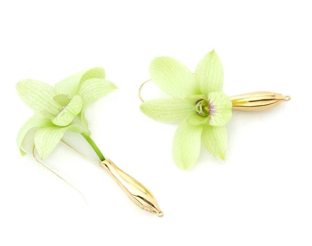 Polished 14 KT Gold Fleurings Vase Earrings that hold water and keep flowers lasting. Earrings pictured with Fresh Green Orchids. 