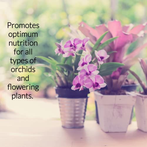 Professional Orchid Spray Fertilizer Mist | Pre Mixed for Weekly Use | Gentle Blend & Gardening Supplies | 8 oz Bottle