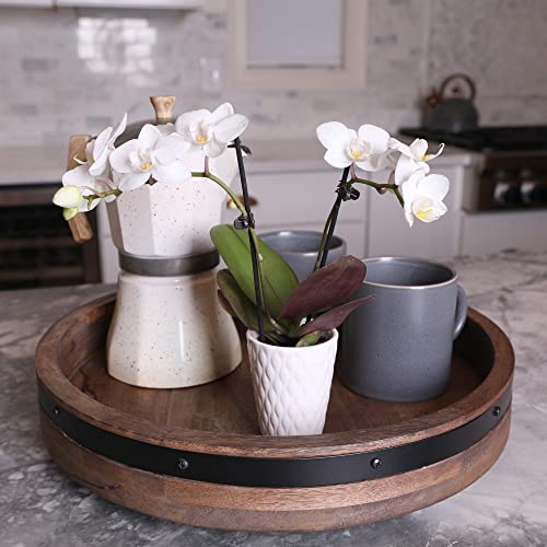 Just Add Ice JA5001 White Orchid in Evi Ceramic Pottery, Live Indoor Plant, Long-Lasting Fresh Flowers, Easy to Grow Gift for Birthday, Girlfriend, Housewarming Décor Planter, 2.5" Diameter, 9" Tall