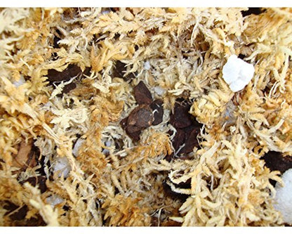 repotme potting mix rePotme Orchid Potting Mix